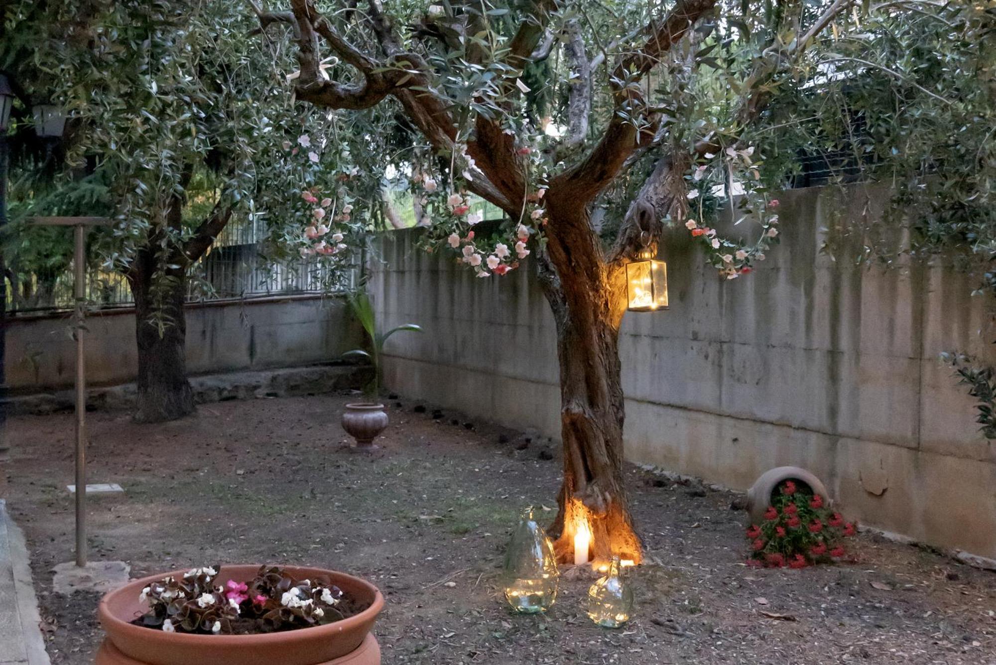 דירות צ'יביטאנובה מארקה Il Giardino מראה חיצוני תמונה