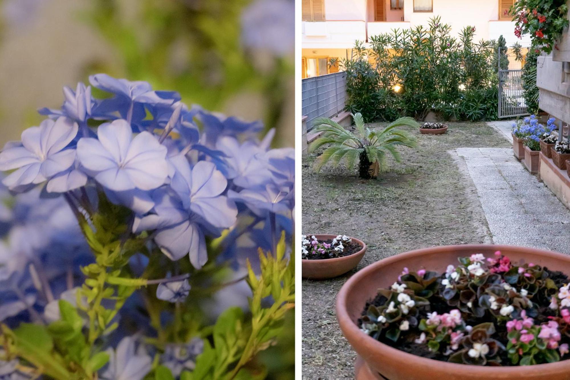 דירות צ'יביטאנובה מארקה Il Giardino מראה חיצוני תמונה